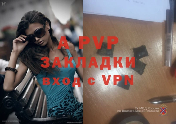 СК Алексеевка